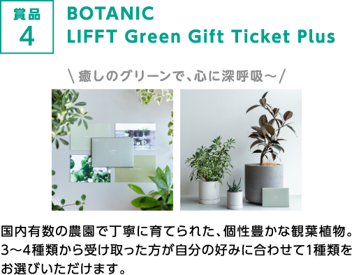 賞品4 BOTANIC LIFFT Green Gift Ticket Plus 癒しのグリーンで、心に深呼吸〜 国内有数の農園で丁寧に育てられた、個性豊かな観葉植物。3〜4種類から受け取った方が自分の好みに合わせて1種類をお選びいただけます。