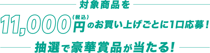 対象商品を11,000円(税込)のお買い上げごとに1口応募！抽選で豪華賞品が当たる!