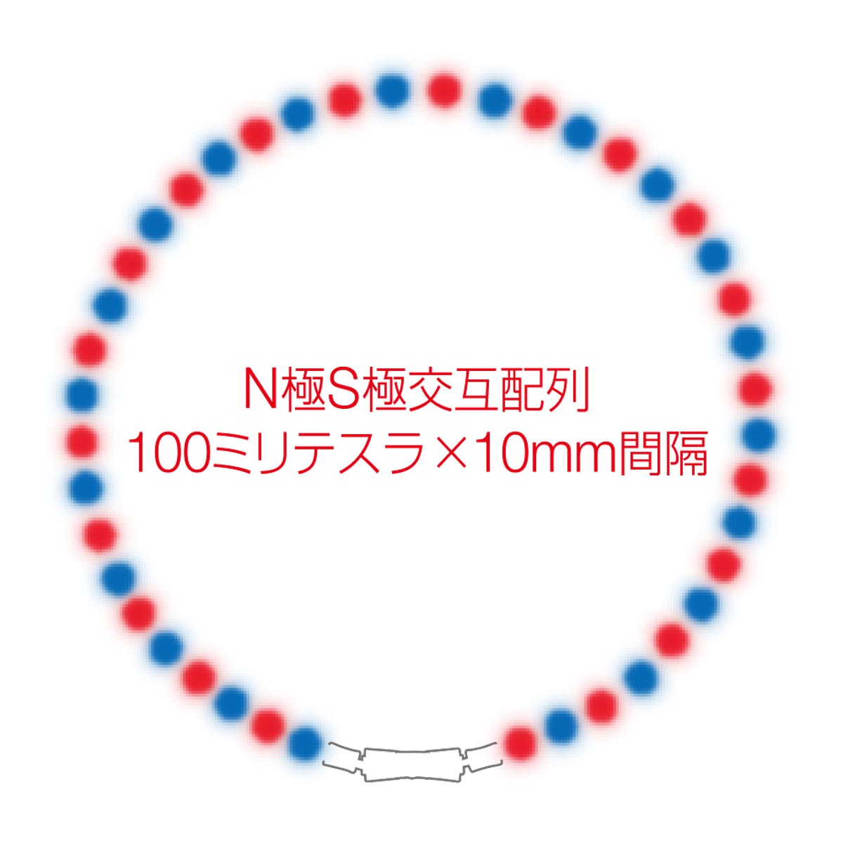 コラントッテ ネックレス TAO LIONE 磁石配置図