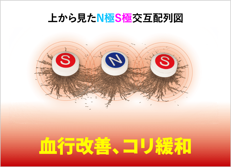 上から見たN極S極交互配列図 血行改善、コリ緩和