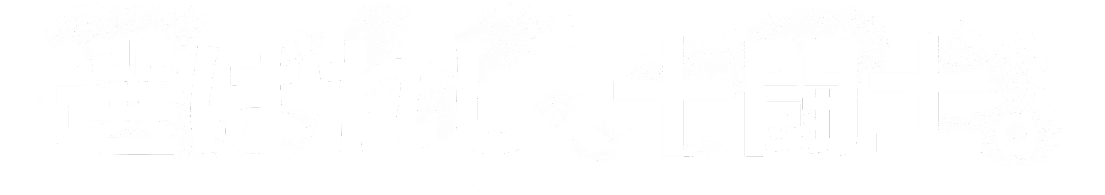 選ばれし、十闘士。