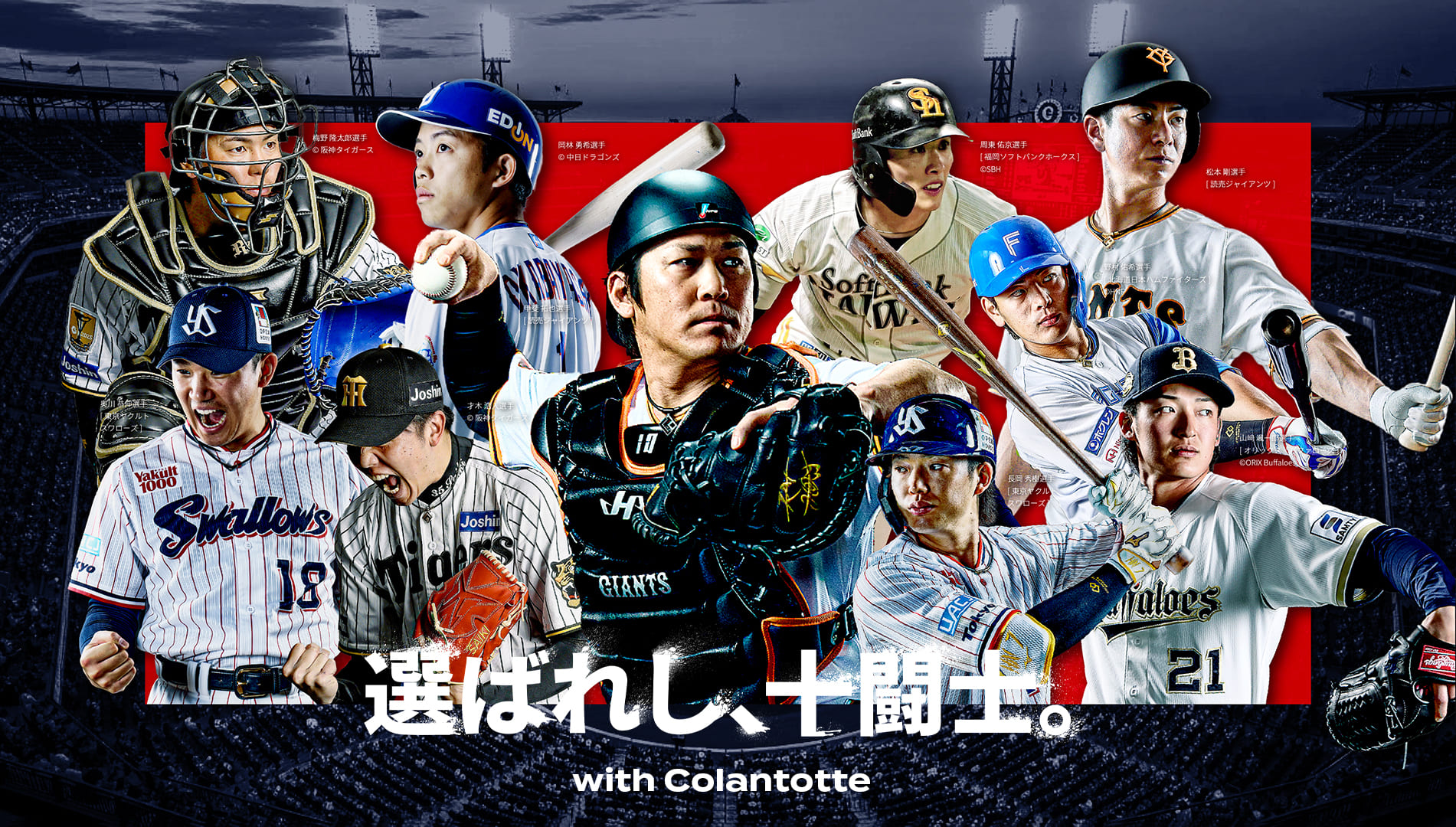 選ばれし、十闘士。with Colantotte